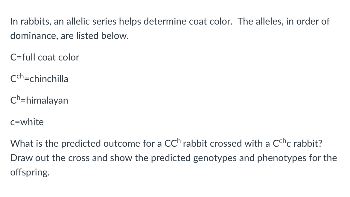 In rabbits, an allelic series helps determine coat color. The alleles, in order of
dominance, are listed below.
C=full coat color
Cch-chinchilla
Ch-himalayan
c=white
What is the predicted outcome for a CCh rabbit crossed with a Cchc rabbit?
Draw out the cross and show the predicted genotypes and phenotypes for the
offspring.