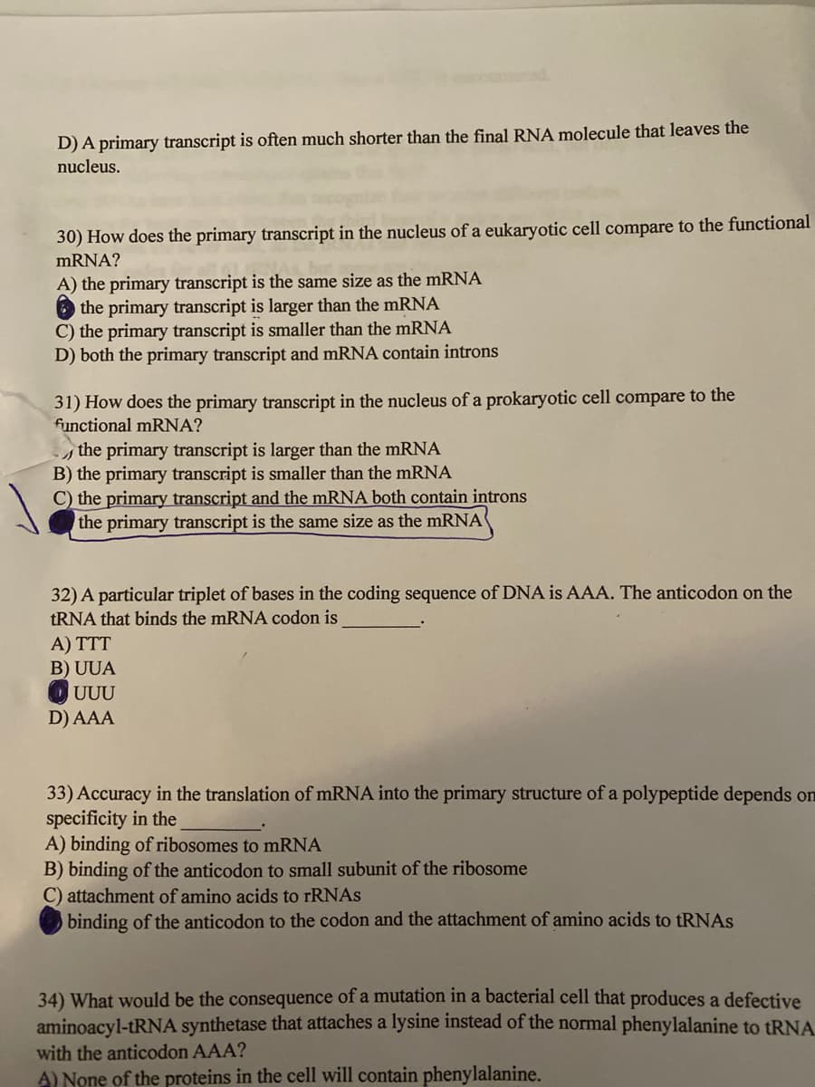 D) A primary transcript is often much shorter than the final RNA molecule that leaves the
nucleus.
30) How does the primary transcript in the nucleus of a eukaryotic cell compare to the functional
MRNA?
A) the primary transcript is the same size as the mRNA
O the primary transcript is larger than the mRNA
C) the primary transcript is smaller than the mRNA
D) both the primary transcript and mRNA contain introns
31) How does the primary transcript in the nucleus of a prokaryotic cell compare to the
functional mRNA?
sthe primary transcript is larger than the mRNA
B) the primary transcript is smaller than the mRNA
C) the primary transcript and the mRNA both contain introns
the primary transcript is the same size as the mRNA
32) A particular triplet of bases in the coding sequence of DNA is AAA. The anticodon on the
TRNA that binds the mRNA codon is
A) TTT
B) UUA
UUU
D) AAA
33) Accuracy in the translation of MRNA into the primary structure of a polypeptide depends on
specificity in the
A) binding of ribosomes to mRNA
B) binding of the anticodon to small subunit of the ribosome
C) attachment of amino acids to rRNAs
binding of the anticodon to the codon and the attachment of amino acids to TRNAS
34) What would be the consequence of a mutation in a bacterial cell that produces a defective
aminoacyl-TRNA synthetase that attaches a lysine instead of the normal phenylalanine to TRNA
with the anticodon AAA?
A) None of the proteins in the cell will contain phenylalanine.
