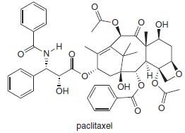 Он
Н:
OH
Он
paclitaxel
Zil.
