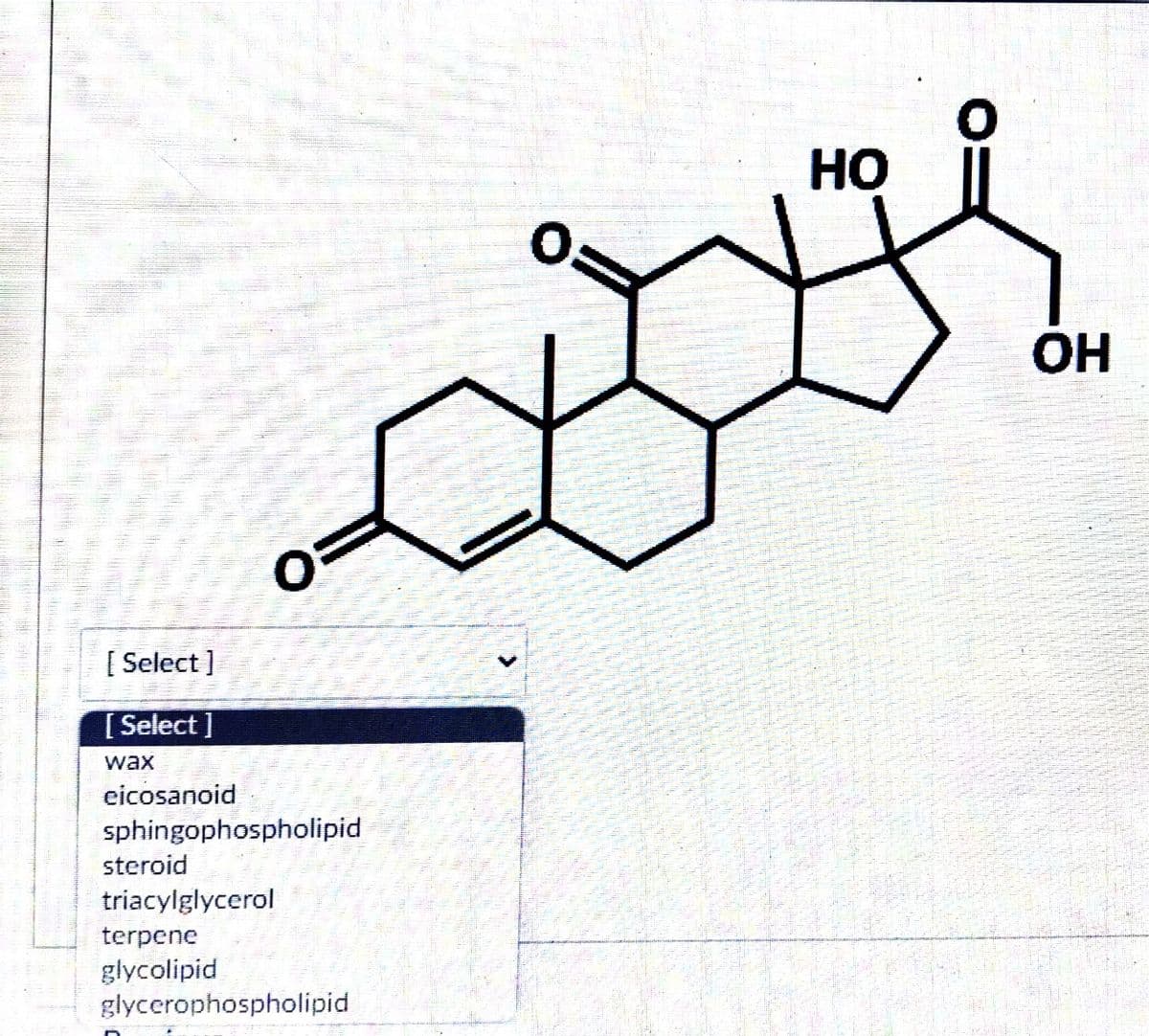 [Select]
[Select]
wax
cicosanoid
sphingophospholipid
steroid
triacylglycerol
terpene
glycolipid
glycerophospholipid
Sales
Se
Malt
HO
A
OH
