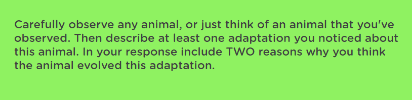 Carefully observe any animal, or just think of an animal that you've
observed. Then describe at least one adaptation you noticed about
this animal. In your response include TWO reasons why you think
the animal evolved this adaptation.
