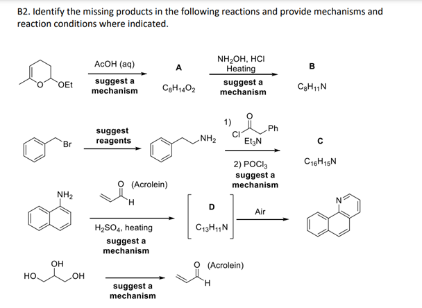 B2. Identify the missing products in the following reactions and provide mechanisms and
reaction conditions where indicated.
NH2OH, HCI
Heating
ACOH (aq)
A
suggest a
mechanism
suggest a
mechanism
OEt
C3H1402
C3H1,N
1)
Ph
suggest
reagents
„NH2
EtzN
Br
C16H15N
2) POCI3
suggest a
mechanism
(Acrolein)
NH2
H.
D
Air
H2SO4, heating
C13H11N
suggest a
mechanism
OH
O (Acrolein)
HO.
HO
H.
suggest a
mechanism
