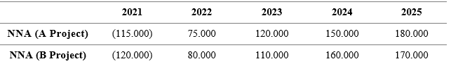 2021
2022
2023
2024
2025
NNA (A Project)
(115.000)
75.000
120.000
150.000
180.000
NNA (B Project)
(120.000)
80.000
110.000
160.000
170.000
