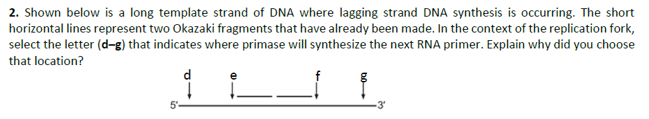 2. Shown below is a long template strand of DNA where lagging strand DNA synthesis is occurring. The short
horizontal lines represent two Okazaki fragments that have already been made. In the context of the replication fork,
select the letter (d-g) that indicates where primase will synthesize the next RNA primer. Explain why did you choose
that location?
d
e
5'-
3'
