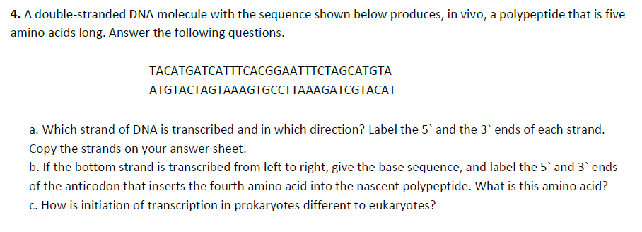 4. A double-stranded DNA molecule with the sequence shown below produces, in vivo, a polypeptide that is five
amino acids long. Answer the following questions.
TACATGATCATTTCACGGAATTTCTAGCATGTA
ATGTACTAGTAAAGTGCCTTAAAGATCGTACAT
a. Which strand of DNA is transcribed and in which direction? Label the 5 and the 3' ends of each strand.
Copy the strands on your answer sheet.
b. If the bottom strand is transcribed from left to right, give the base sequence, and label the 5 and 3` ends
of the anticodon that inserts the fourth amino acid into the nascent polypeptide. What is this amino acid?
c. How is initiation of transcription in prokaryotes different to eukaryotes?
