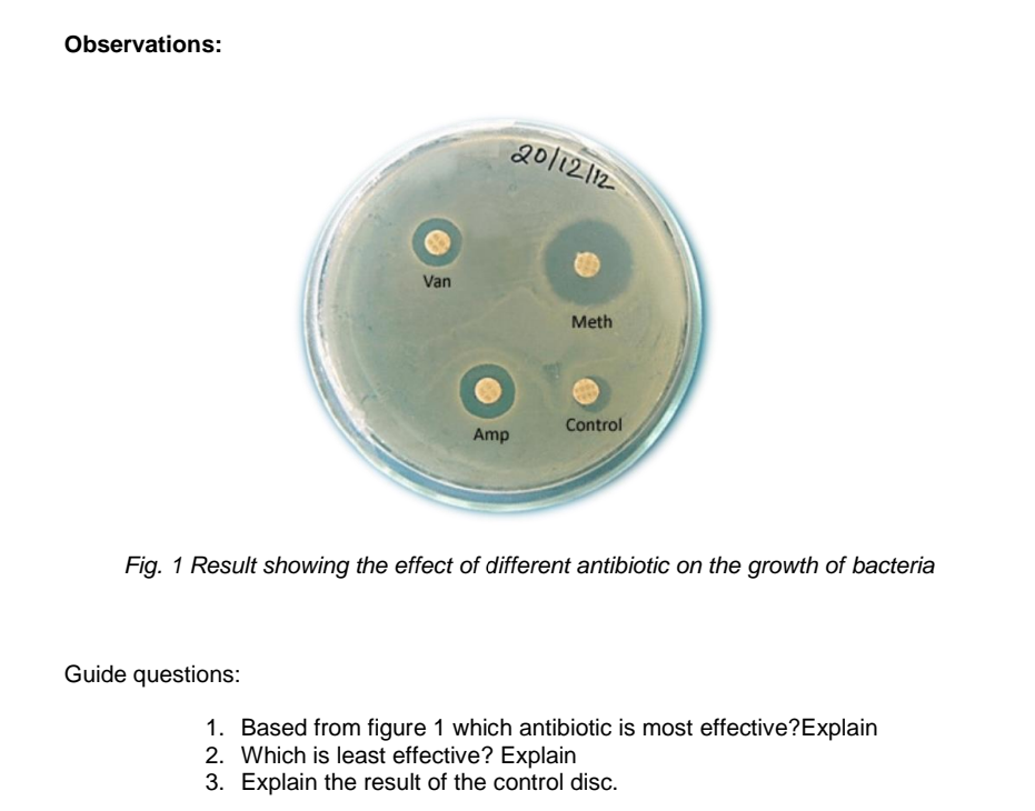 Observations:
201212
Van
Meth
Control
Amp
Fig. 1 Result showing the effect of different antibiotic on the growth of bacteria
Guide questions:
1. Based from figure 1 which antibiotic is most effective?Explain
2. Which is least effective? Explain
3. Explain the result of the control disc.
