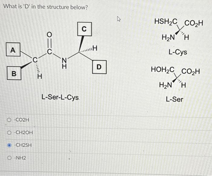 What is 'D' in the structure below?
A
B
O-CO2H
CC
O-CH2OH
-CH2SH
O-NH2
H
910
C.
IZ
C
.....H
"H
L-Ser-L-Cys.
D
HSH₂C CO₂H
H₂N H
L-Cys
HOH₂C CO₂H
Y₁
H₂N H
L-Ser