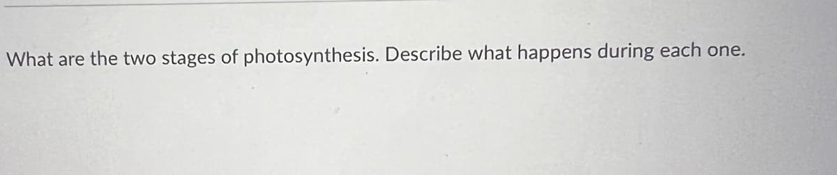 What are the two stages of photosynthesis. Describe what happens during each one.
