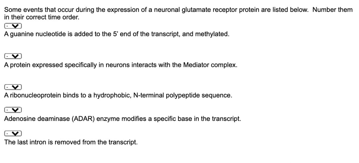 Some events that occur during the expression of a neuronal glutamate receptor protein are listed below. Number them
in their correct time order.
A guanine nucleotide is added to the 5' end of the transcript, and methylated.
A protein expressed specifically in neurons interacts with the Mediator complex.
A ribonucleoprotein binds to a hydrophobic, N-terminal polypeptide sequence.
Adenosine deaminase (ADAR) enzyme modifies a specific base in the transcript.
The last intron is removed from the transcript.
