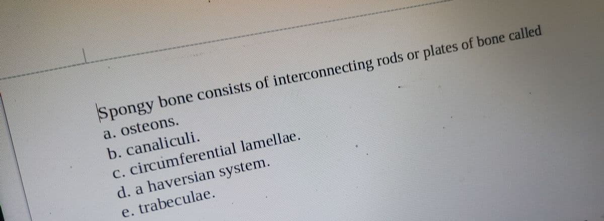 Spongy bone consists of interconnecting rods or plates of bone called
a. osteons.
b. canaliculi.
c. circumferential lamellae.
d. a haversian system.
e. trabeculae.