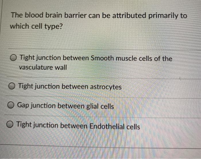 The blood brain barrier can be attributed primarily to
which cell type?
Tight junction between Smooth muscle cells of the
vasculature wall
Tight junction between astrocytes
Gap junction between glial cells
O Tight junction between Endothelial cells