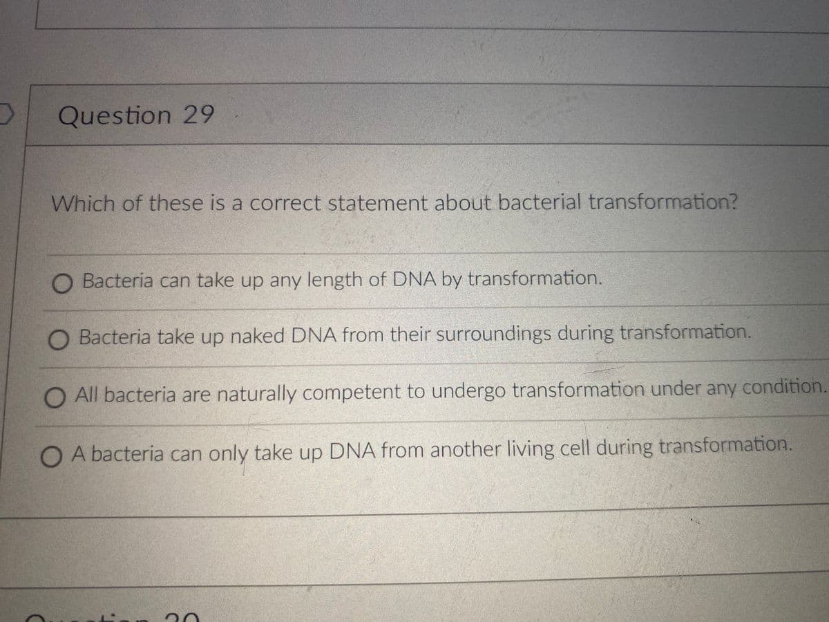 Question 29
Which of these is a correct statement about bacterial transformation?
Bacteria can take up any length of DNA by transformation.
O Bacteria take up naked DNA from their surroundings during transformation.
O All bacteria are naturally competent to undergo transformation under any condition.
O A bacteria can only take up DNA from another living cell during transformation.
