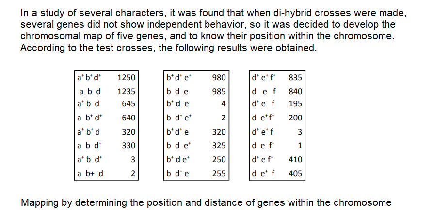 In a study of several characters, it was found that when di-hybrid crosses were made,
several genes did not show independent behavior, so it was decided to develop the
chromosomal map of five genes, and to know their position within the chromosome.
According to the test crosses, the following results were obtained.
a*b*d*
1250
b*d* e*
980
d* e* f*
835
ab d
1235
bd e
985
def
840
a*b d
645
b*d e
4
d'e f
195
a b* d*
640
b d* e*
2
d e*f*
200
a* b* d
320
b*d*e
320
d* e* f
3
a b d*
330
bd e*
325
de f*
1
a*b d*
b* de*
250
d* e f*
410
a b+ d
b d*e
255
d e* f
405
Mapping by determining the position and distance of genes within the chromosome
2.
