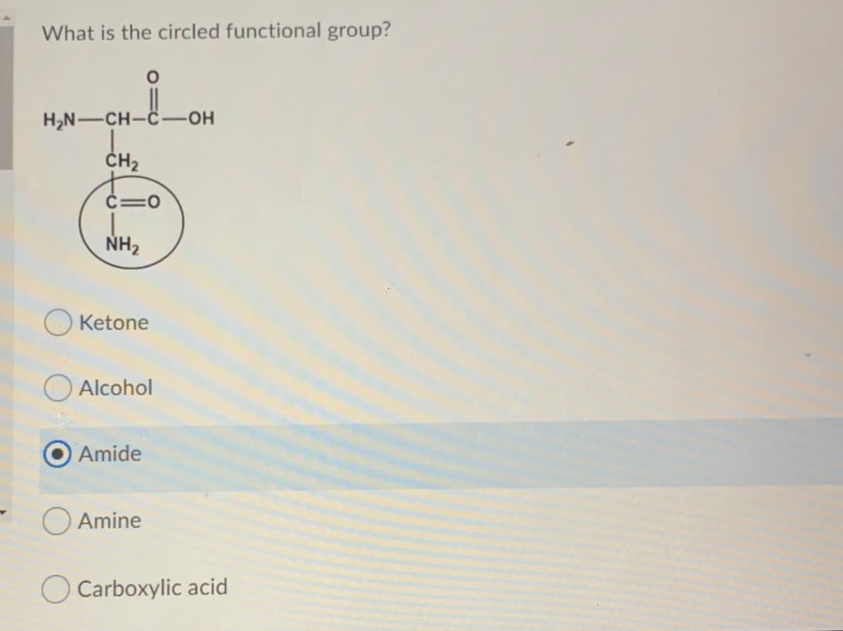 circled functional group
