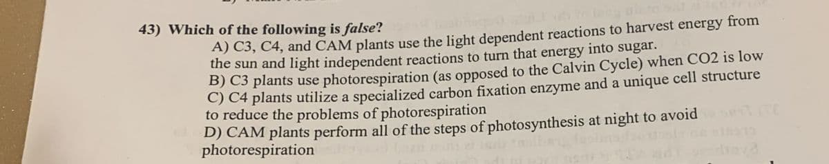 43) Which of the following is false?
A) C3, C4, and CAM plants use the light dependent reactions to harvest energy from
the sun and light independent reactions to turn that energy into sugar.
B) C3 plants use photorespiration (as opposed to the Calvin Cycle) when CO2 is low
) C4 plants utilize a specialized carbon fixation enzyme and a unique cell structure
to reduce the problems of photorespiration
D) CẢM plants perform all of the steps of photosynthesis at night to avoid e
photorespiration
