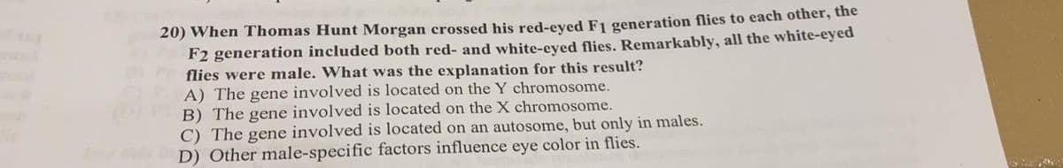 20) When Thomas Hunt Morgan crossed his red-eved F1 generation flies to each other, the
F2 generation included both red- and white-eyed flies. Remarkably, all the white-eyed
flies were male. What was the explanation for this result?
A) The gene involved is located on the Y chromosome.
B) The gene involved is located on the X chromosome.
C) The
D) Other male-specific factors influence eye color in flies.
gene
involved is located on an autosome, but only in males.
