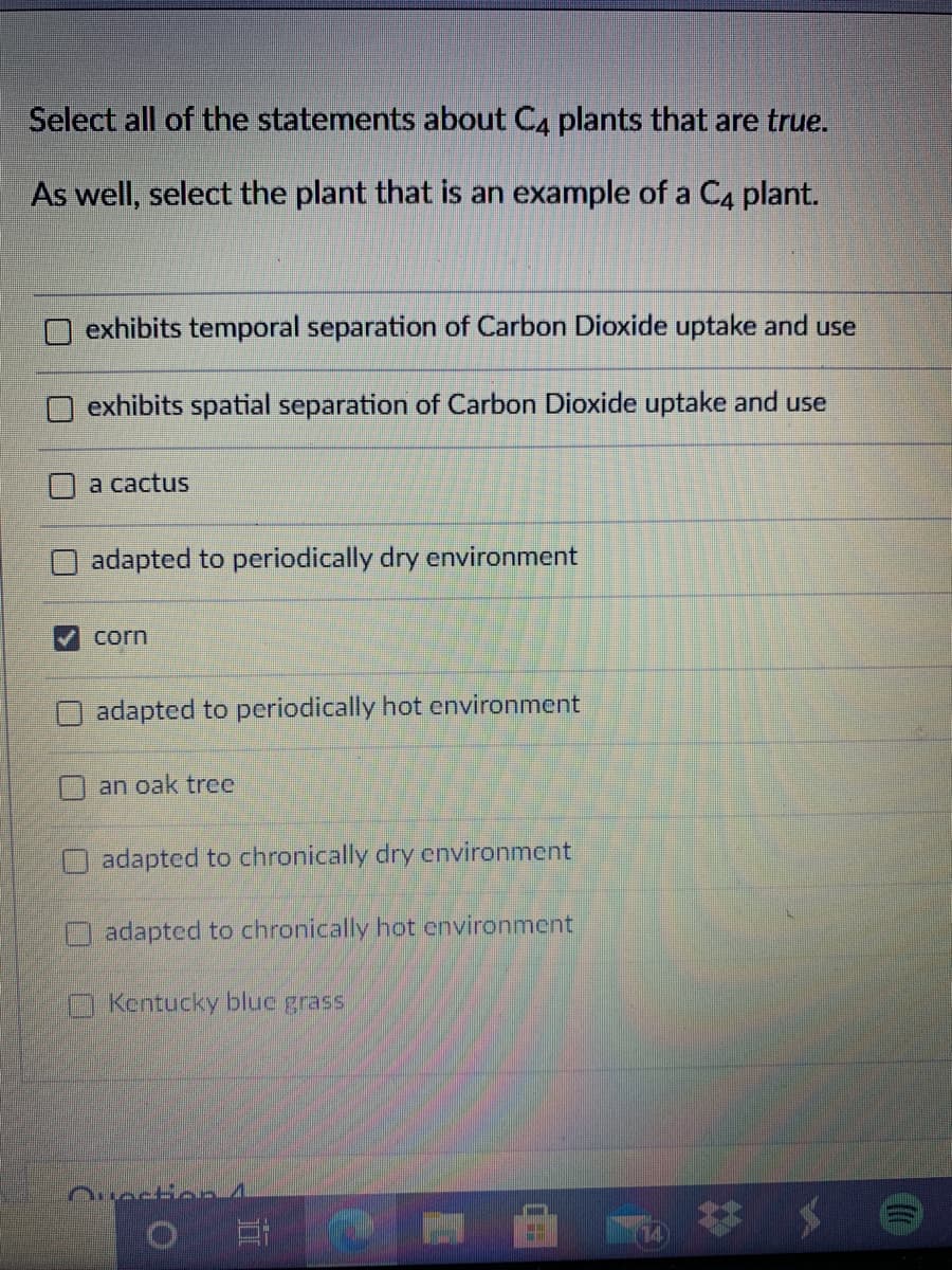 Select all of the statements about C, plants that are true.
As well, select the plant that is an example of a C4 plant.
exhibits temporal separation of Carbon Dioxide uptake and use
exhibits spatial separation of Carbon Dioxide uptake and use
a cactus
adapted to periodically dry environment
corn
adapted to periodically hot environment
an oak tree
adapted to chronically dry environment
adapted to chronically hot environment
Kentucky bluc grass
Ouection4
