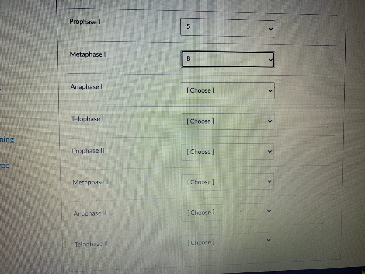 Prophase I
5
Metaphase I
8.
Anaphase I
[ Choose ]
Telophase I
[Choose ]
ning
Prophase II
[ Choose ]
ee
Metaphase II
[ Choose ]
Anaphase II
[Choose]
Telophase II
[ Choose)
