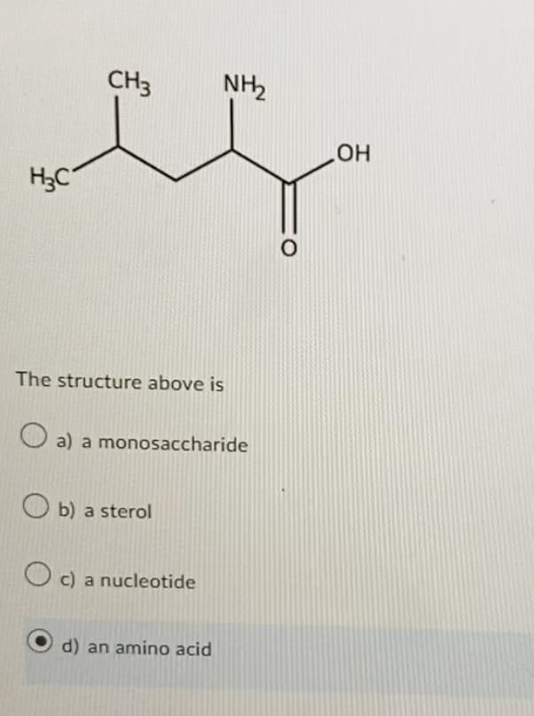 H₂C
CH3
The structure above is
a) a monosaccharide
Ob) a sterol
NH₂2
c) a nucleotide
d) an amino acid
O
OH