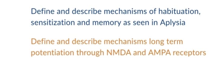 Define and describe mechanisms of habituation,
sensitization and memory as seen in Aplysia
Define and describe mechanisms long term
potentiation through NMDA and AMPA receptors