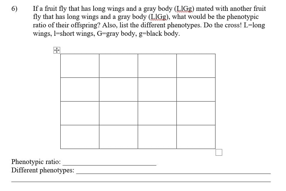 If a fruit fly that has long wings and a gray body (LIGG) mated with another fruit
fly that has long wings and a gray body (LIGG), what would be the phenotypic
ratio of their offspring? Also, list the different phenotypes. Do the cross! L=long
wings, l=short wings, G-gray body, g=black body.
6)
Phenotypic ratio:
Different phenotypes:
