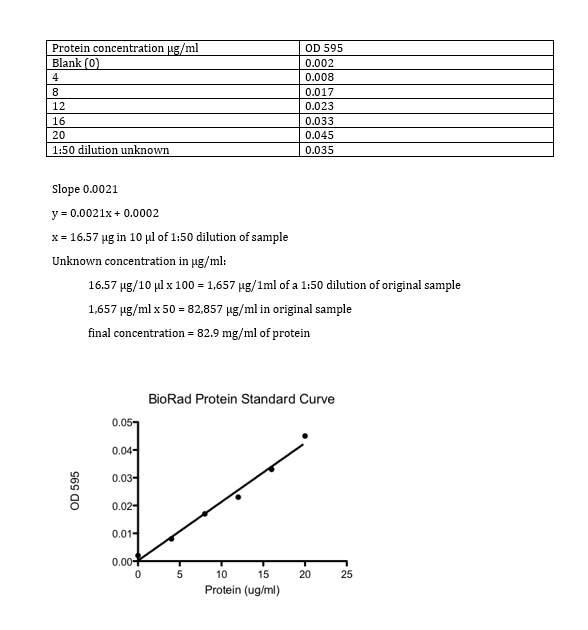 Protein concentration µg/ml
Blank (0)
4
8
12
16
20
1:50 dilution unknown
OD 595
0.05
Slope 0.0021
y = 0.0021x + 0.0002
x = 16.57 µg in 10 μl of 1:50 dilution of sample
Unknown concentration in µg/ml:
16.57 µg/10 μl x 100 = 1,657 µg/1ml of a 1:50 dilution of original sample
1,657 µg/ml x 50 = 82,857 µg/ml in original sample
final concentration = 82.9 mg/ml of protein
0.04-
0.03-
0.02-
0.01-
0.00
0
OD 595
0.002
0.008
5
0.017
0.023
10
15
Protein (ug/ml)
0.033
0.045
0.035
BioRad Protein Standard Curve
20
25