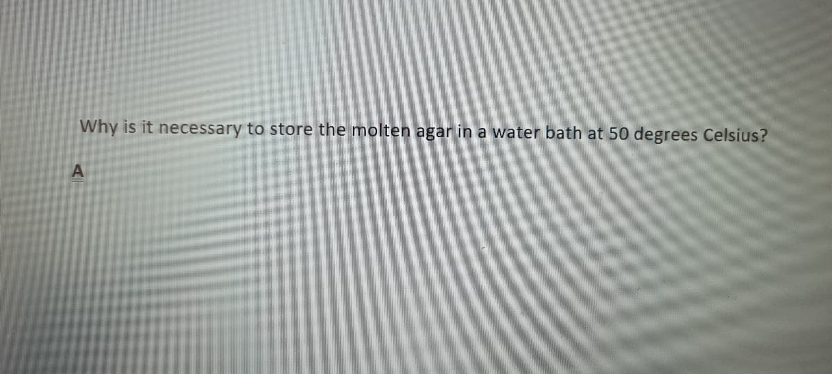 Why is it necessary to store the molten agar in a water bath at 50 degrees Celsius?
