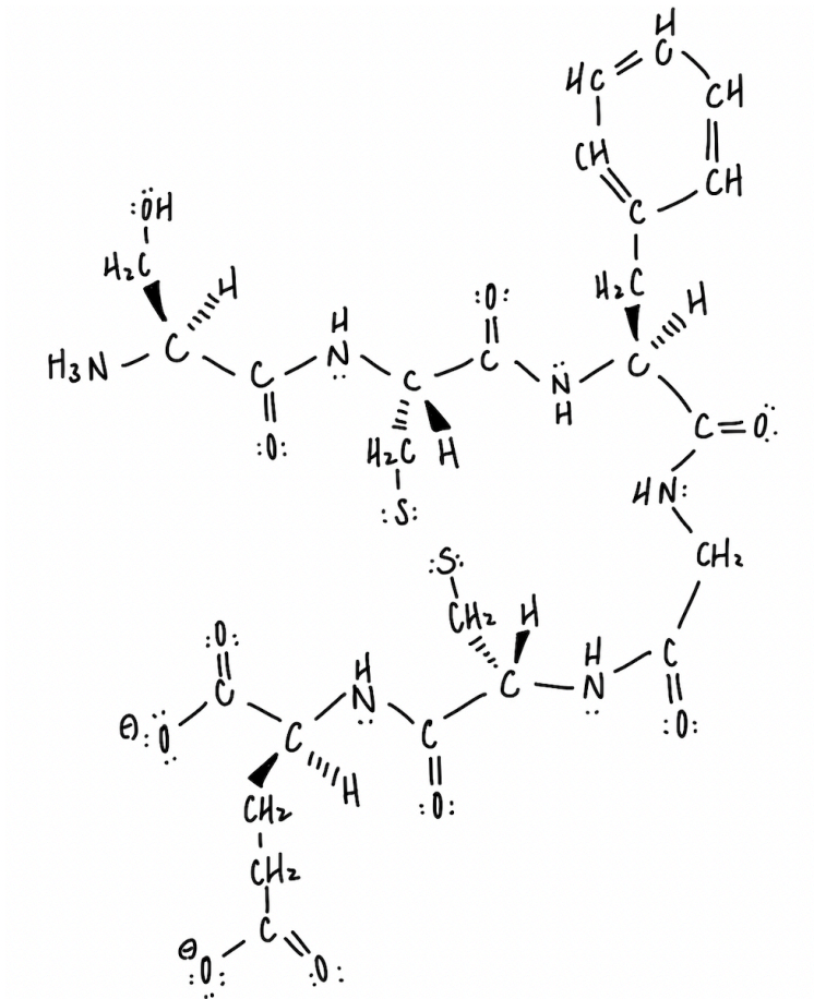 :öH
HC
'
H3 N - C
1.
-
:0:
e
:0:
C-
||
:0:
CH₂
:ZI
CH₂
-0111111
/
:0:
H2C H
|
:S:
:S:
|
C
=。
||
: 0:
C
CHz H
HC
||
대
CH
C
:ZH
H₂C
J
H
°C - N
HN:
C.III 4
- C
c=6.
CH ₂
1
||
:0: