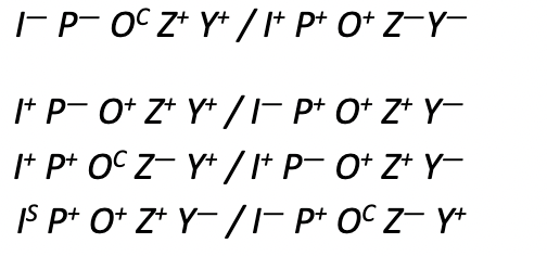 I-P- OCZ+Y+/I+ P* O+Z-Y-
It P- O+ Z¹Y+ / I¯ P+ O* Z* Y—
I+P+ OC Z- Y+/I+ P− O+ Z¹ Y-
Is P+ O+ Z+Y-/I-¯P+ OC Z-Y+