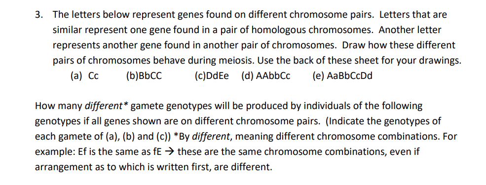 3. The letters below represent genes found on different chromosome pairs. Letters that are
similar represent one gene found in a pair of homologous chromosomes. Another letter
represents another gene found in another pair of chromosomes. Draw how these different
pairs of chromosomes behave during meiosis. Use the back of these sheet for your drawings.
(a) Cc (b) BbCC (c)DdEe (d) AAbbCc (e) AaBbCcDd
How many different* gamete genotypes will be produced by individuals of the following
genotypes if all genes shown are on different chromosome pairs. (Indicate the genotypes of
each gamete of (a), (b) and (c)) *By different, meaning different chromosome combinations. For
example: Ef is the same as fE → these are the same chromosome combinations, even if
arrangement as to which is written first, are different.