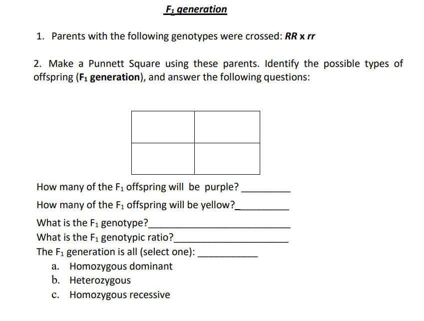 F₁ generation
1. Parents with the following genotypes were crossed: RR x rr
2. Make a Punnett Square using these parents. Identify the possible types of
offspring (F₁ generation), and answer the following questions:
How many of the F₁ offspring will be purple?
How many of the F₁ offspring will be yellow?_
What is the F₁ genotype?_
What is the F₁ genotypic ratio?
The F₁ generation is all (select one):
a. Homozygous dominant
b. Heterozygous
c. Homozygous recessive