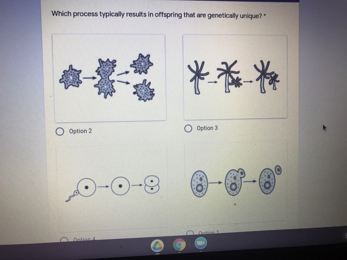 Which process typically results in offspring that are genetically unique? *
****
Option 2
Option 3
Ontion 1
Ontion 4
