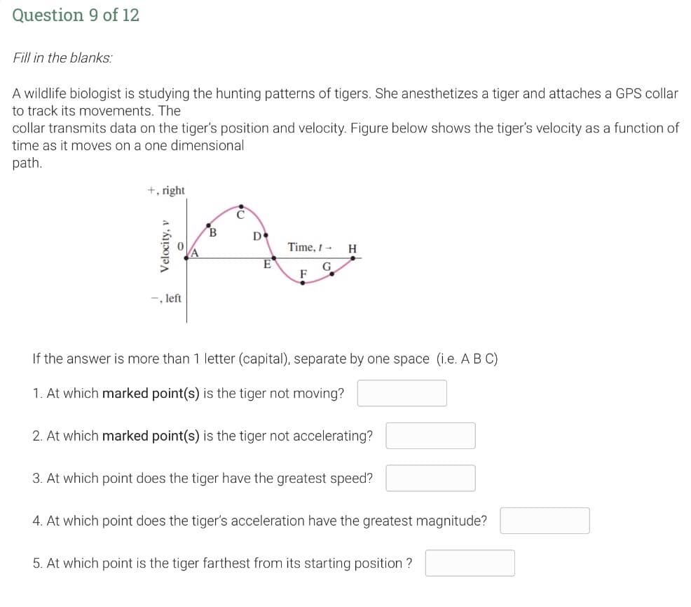 Question 9 of 12
Fill in the blanks:
A wildlife biologist is studying the hunting patterns of tigers. She anesthetizes a tiger and attaches a GPS collar
to track its movements. The
collar transmits data on the tiger's position and velocity. Figure below shows the tiger's velocity as a function of
time as it moves on a one dimensional
path.
+, right
Velocity, v
-, left
B
D
Time, t -
G
H
If the answer is more than 1 letter (capital), separate by one space (i.e. A B C)
1. At which marked point(s) is the tiger not moving?
2. At which marked point(s) is the tiger not accelerating?
3. At which point does the tiger have the greatest speed?
4. At which point does the tiger's acceleration have the greatest magnitude?
5. At which point is the tiger farthest from its starting position ?