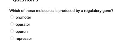 Which of these molecules is produced by a regulatory gene?
O promoter
operator
operon
O repressor
