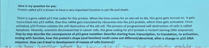 Here is my question for you:
Protein called p53 is known to have a very important function is cell life and death.
There is a gene called p53 that codes for this protein. When the time comes for an old cell to die, this gene gets turned on. It gets
transcribed into p53 mRNA, then this mRNA gets translated by ribosomes into the p53 protein, which then gets activated. Once
activated, p53 Protein initiates the self-destruction of the old cell. The process of programmed self-destruction of cells is called
Apoptosis. Recently, scientists discovered that in cancer cells, the gene coding for p53 protein is mutant (wrong DNA sequence).
Step by step describe the consequences of p53 gene mutation: Describe starting from transcription, to translation, to activation,
ending with function, how this protein's shape (and function) could come out different/abnormal, after a change in p53 DNA
sequence. How can it lead to development of masses of cells (tumors)?
ના * 252 tumor Gumpressor inclure the Immo
weatively requilate