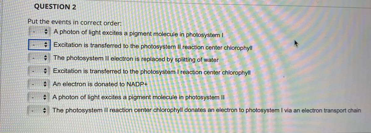 QUESTION 2
Put the events in correct order:
+ A photon of light excites a pigment molecule in photosystem I
+Excitation is transferred to the photosystem II reaction center chlorophyll
+ The photosystem II electron is replaced by splitting of water
+ Excitation is transferred to the photosystem I reaction center chlorophyll
+ An electron is donated to NADP+
+ A photon of light excites a pigment molecule in photosystem II
+ The photosystem II reaction center chlorophyll donates an electron to photosystem I via an electron transport chain
