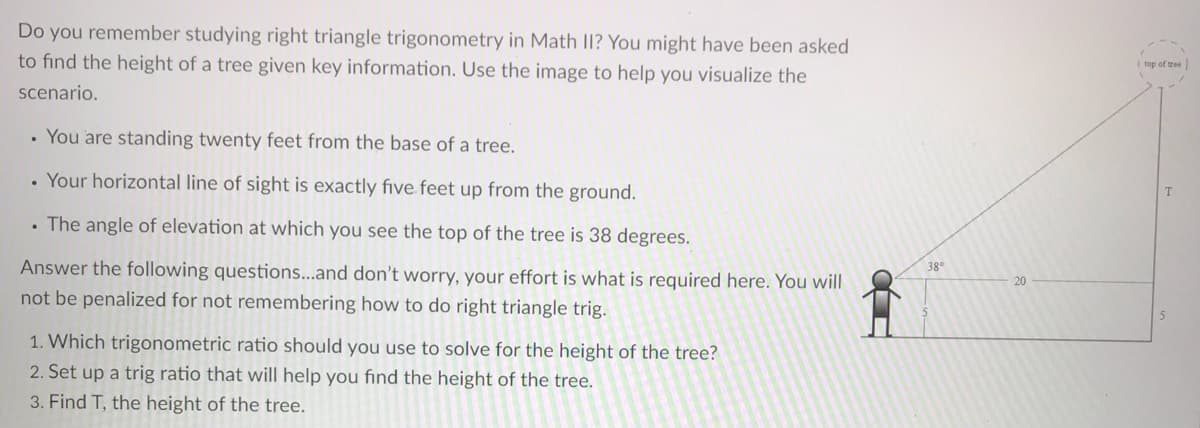 Do you remember studying right triangle trigonometry in Math II? You might have been asked
to find the height of a tree given key information. Use the image to help you visualize the
top of tree
scenario.
• You are standing twenty feet from the base of a tree.
. Your horizontal line of sight is exactly five feet up from the ground.
• The angle of elevation at which you see the top of the tree is 38 degrees.
Answer the following questions...and don't worry, your effort is what is required here. You will
not be penalized for not remembering how to do right triangle trig.
38°
20
1. Which trigonometric ratio should you use to solve for the height of the tree?
2. Set up a trig ratio that will help you find the height of the tree.
3. Find T, the height of the tree.
