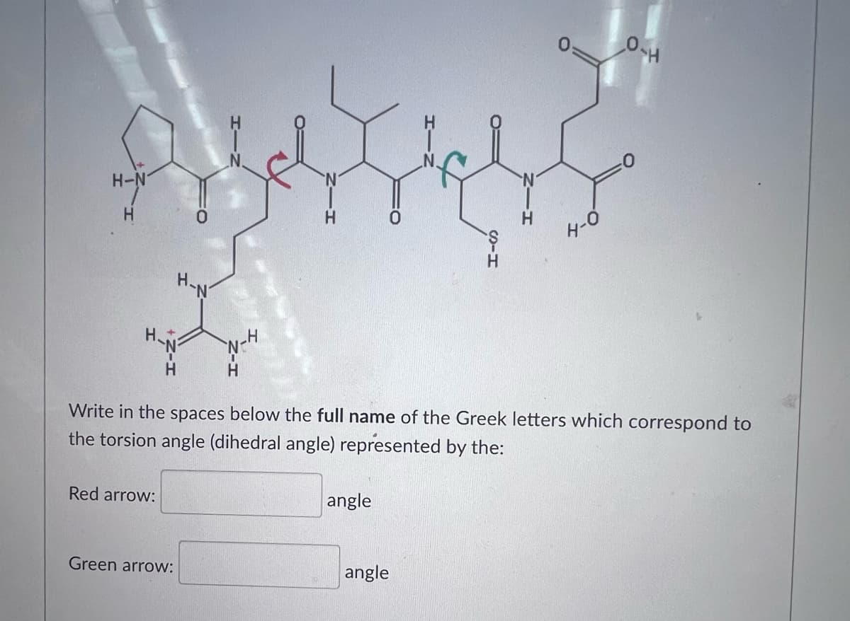H-N
N.
H.
4-0
H.
H.
H-N
v-H
H.
Write in the spaces below the full name of the Greek letters which correspond to
the torsion angle (dihedral angle) represented by the:
Red arrow:
angle
Green arrow:
angle
