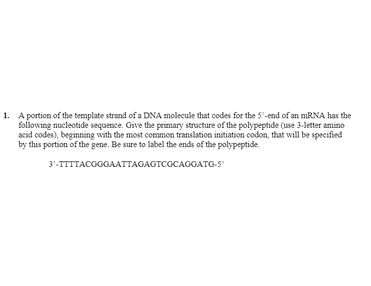 1. A portion of the template strand of a DNA molecule that codes for the 5'-end of an mRNA has the
following nucleotide sequence. Give the primary structure of the polypeptide (use 3-letter amino
acid codes), beginning with the most common translation initiation codon, that will be specified
by this portion of the gene. Be sure to label the ends of the polypeptide.
3'-TTTTACGGGAATTAGAGTCGCAGGATG-5'
