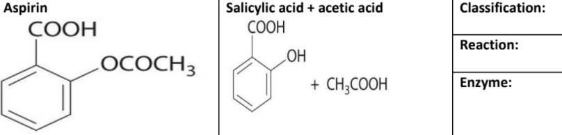 Salicylic acid + acetic acid
COOH
Aspirin
Classification:
СООН
Reaction:
HO
+ CH;COOH
LOCOCH3
Enzyme:
