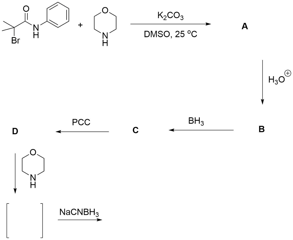 K2CO3
N'
А
DMSO, 25 °C
Br
H30
РСС
BH3
D
C
B
N.
NaCNBH3
ZI
