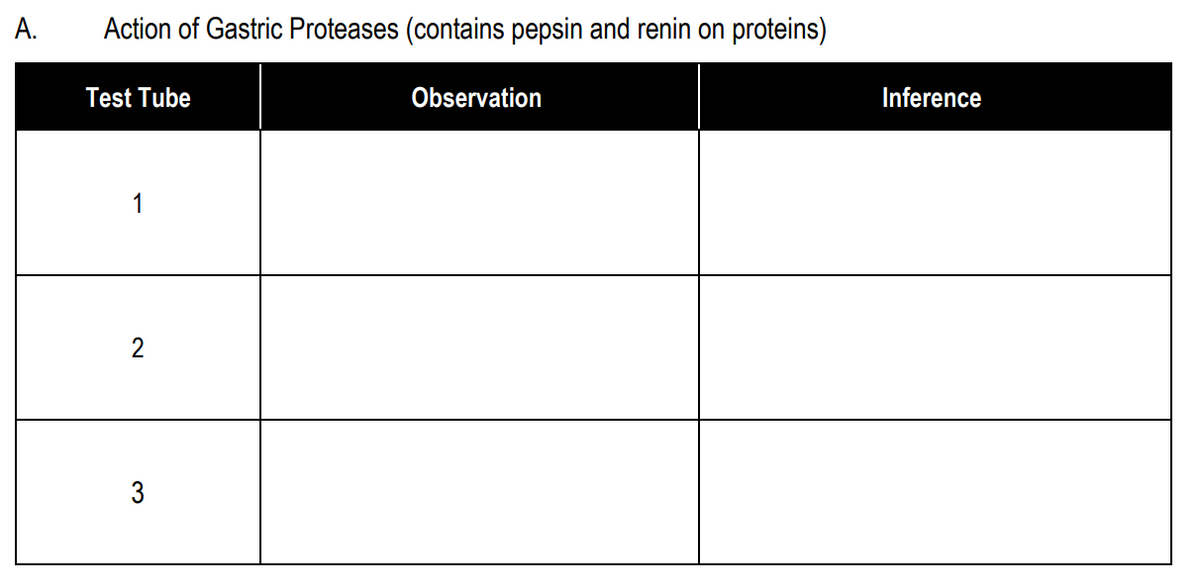 A.
Action of Gastric Proteases (contains pepsin and renin on proteins)
Test Tube
1
3
Observation
Inference