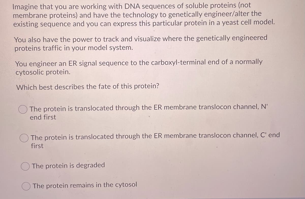 Imagine that you are working with DNA sequences of soluble proteins (not
membrane proteins) and have the technology to genetically engineer/alter the
existing sequence and you can express this particular protein in a yeast cell model.
You also have the power to track and visualize where the genetically engineered
proteins traffic in your model system.
You engineer an ER signal sequence to the carboxyl-terminal end of a normally
cytosolic protein.
Which best describes the fate of this protein?
O The protein is translocated through the ER membrane translocon channel, N'
end first
O The protein is translocated through the ER membrane translocon channel, C' end
first
The protein is degraded
The protein remains in the cytosol
