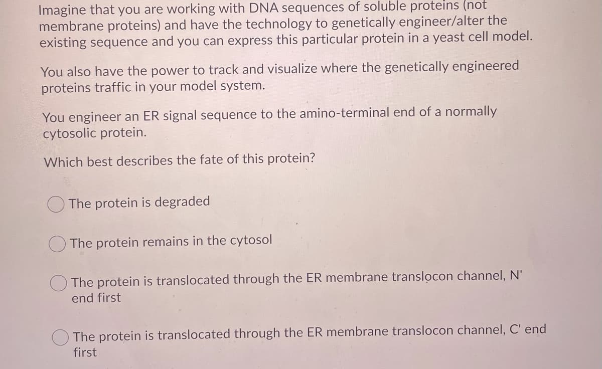 Imagine that you are working with DNA sequences of soluble proteins (not
membrane proteins) and have the technology to genetically engineer/alter the
existing sequence and you can express this particular protein in a yeast cell model.
You also have the power to track and visualize where the genetically engineered
proteins traffic in your model system.
You engineer an ER signal sequence to the amino-terminal end of a normally
cytosolic protein.
Which best describes the fate of this protein?
The protein is degraded
The protein remains in the cytosol
The protein is translocated through the ER membrane translocon channel, N'
end first
The protein is translocated through the ER membrane translocon channel, C' end
first
