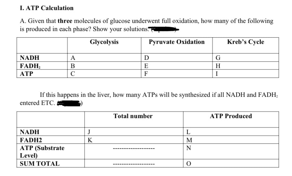 I. ATP Calculation
A. Given that three molecules of glucose underwent full oxidation, how many of the following
is produced in each phase? Show your solutions.
Glycolysis
NADH
FADH₂
ATP
NADH
FADH2
A
B
C
ATP (Substrate
Level)
SUM TOTAL
J
K
D
E
[1] F
Pyruvate Oxidation
F
If this happens in the liver, how many ATPs will be synthesized if all NADH and FADH₂
entered ETC..
Total number
L
M
N
G
H
I
O
Kreb's Cycle
ATP Produced