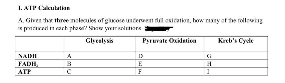 I. ATP Calculation
A. Given that three molecules of glucose underwent full oxidation, how many of the following
is produced in each phase? Show your solutions.
Glycolysis
NADH
FADH₂
ATP
A
B
C
Pyruvate Oxidation
D
E
F
G
H
I
Kreb's Cycle