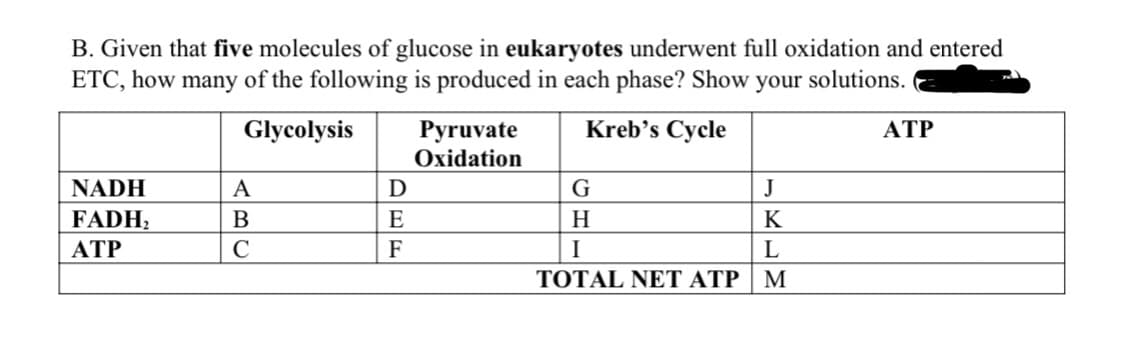 B. Given that five molecules of glucose in eukaryotes underwent full oxidation and entered
ETC, how many of the following is produced in each phase? Show your solutions.
Glycolysis
Kreb's Cycle
NADH
FADH₂
ATP
A
B
C
D
E
F
Pyruvate
Oxidation
G
J
H
K
I
L
TOTAL NET ATP M
ATP