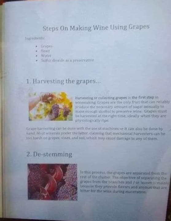 Steps On Making Wine Using Grapes
Ingredients:
Gripes
• Yeat
Wate
Sulfur dioxide as a preservative
1. Harvesting the grapes...
Harvesting or collecting grapes is the first step in
winemaking Grapes are the only fruit that can reliably
produce the necessary amount of sugar annually to
make enough alcottol to preserve wine. Grapes must
the harvested at the right time, ideally when they are
physiologically ripe.
Grape harvesting can be done with the use of machines or it can also be done by
hand Most wineries prefer the latter, claiming that mechanical harvesters can be
ton harsh on grapes, vines, and soil, which may cause damage to any of them
2. De-stemming
In this process, the grapes are separated from the
rest of the cluster The objective of separating the
grapes from the branches and/ or leaves mainly
Lecause they provide flavors and aromas that are
bitter for the wine during maceration.