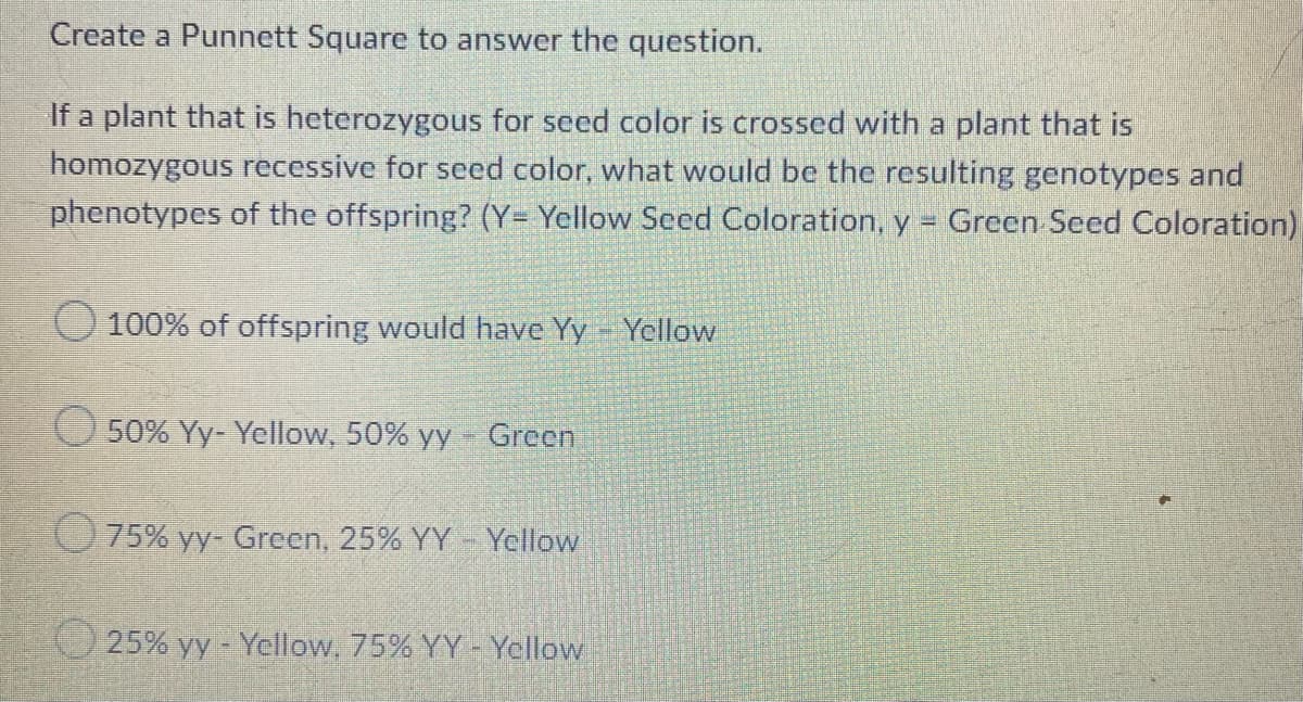 Create a Punnett Square to answer the question.
If a plant that is heterozygous for seed color is crossed with a plant that is
homozygous recessive for seed color, what would be the resulting genotypes and
phenotypes of the offspring? (Y= Yellow Seed Coloration, y =
Green Seed Coloration)
O100% of offspring would have Yy - Yellow
50% Yy- Yellow, 50% yy Green
75% yy- Green, 25% YY Yellow
25% yy - Yellow, 75% YY-Yellow
