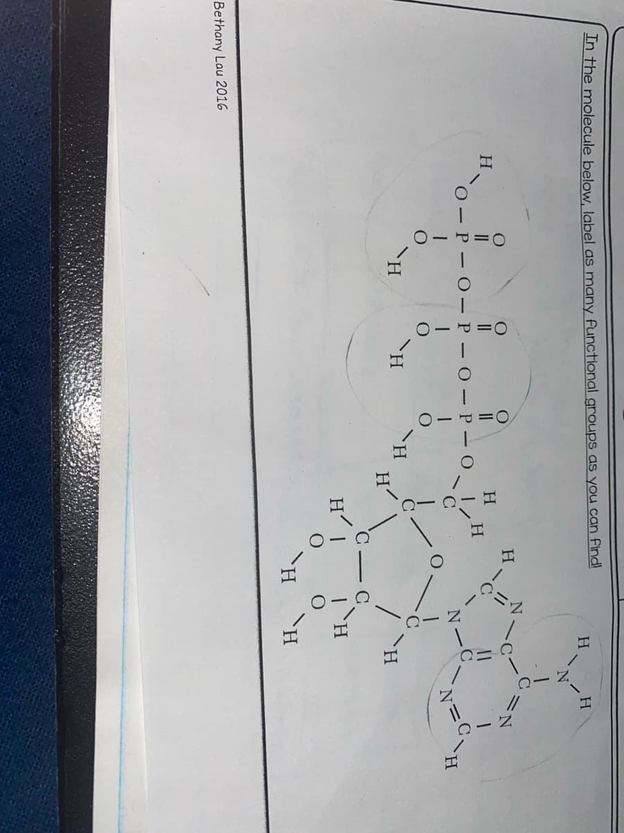 In the molecule below. Jabel as many functional groups as you can Find!
H.
H.
H.
H.
II
II
0 -P- 0
P – 0 –P - O
H.
H.
H
H
H
`H
H
Bethany Lau 2016
